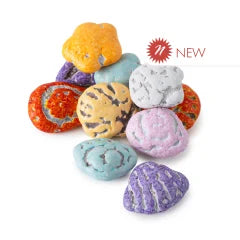 Chocolate Seashells (12oz) – Hello Sweets Candy