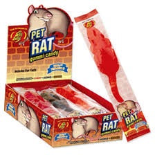 Jelly Belly Pet Rats (one)